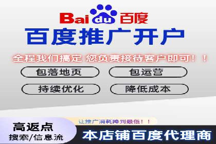 谷歌SEM广告策略：某电商平台的成功逆袭案例